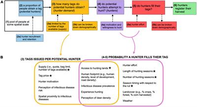 A call to action: Standardizing white-tailed deer harvest data in the Midwestern United States and implications for quantitative analysis and disease management